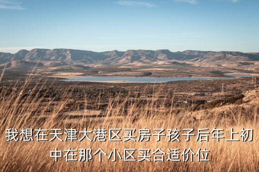 我想在天津大港区买房子孩子后年上初中在那个小区买合适价位