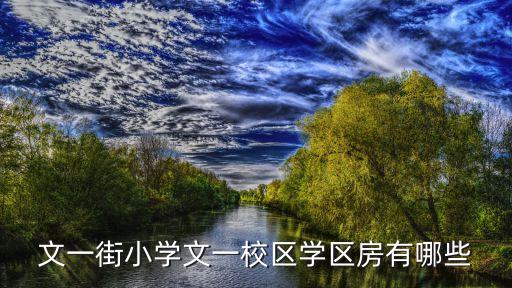 文一街小学文一校区学区房有哪些