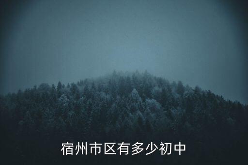 宿州市区有多少初中