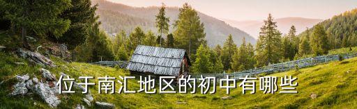 位于南汇地区的初中有哪些