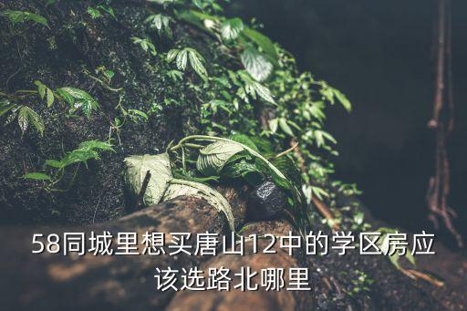 58同城里想买唐山12中的学区房应该选路北哪里