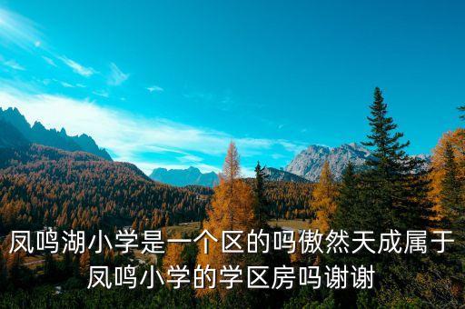 凤鸣湖小学是一个区的吗傲然天成属于凤鸣小学的学区房吗谢谢