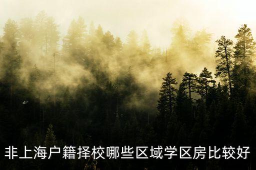 非上海户籍择校哪些区域学区房比较好