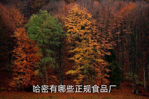 哈密有哪些正规食品厂