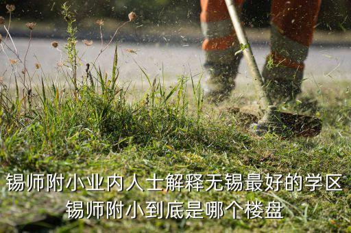 锡师附小业内人士解释无锡最好的学区锡师附小到底是哪个楼盘