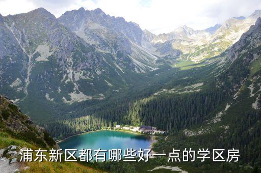 浦东新区都有哪些好一点的学区房