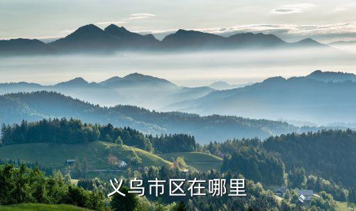 义乌市区在哪里