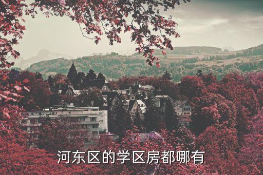 黄冈市有哪些学区房，河东区的学区房都哪有