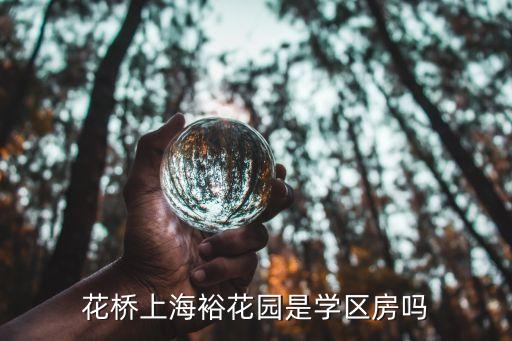 花桥上海裕花园是学区房吗