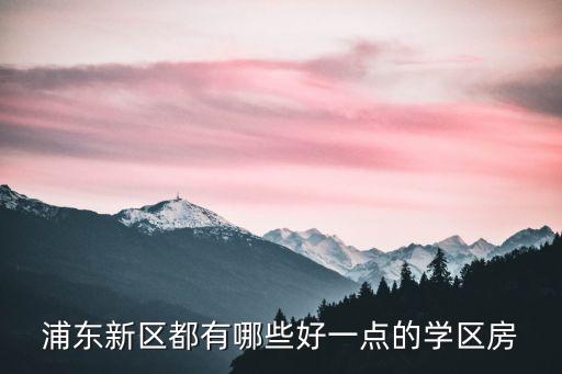 浦东新区都有哪些好一点的学区房