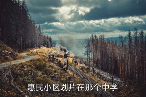 惠民小区划片在那个中学