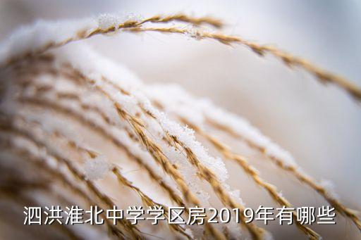 泗洪淮北中学学区房2019年有哪些