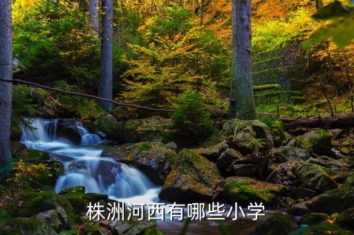 株洲河西有哪些小学