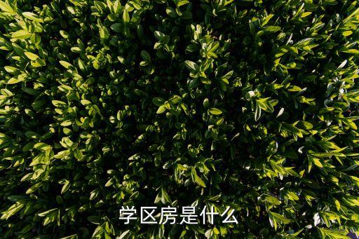 学区房都包括哪些房子呢，都有哪些楼盘是学区房啊