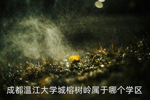温江哪些小区是学区房了，成都温江二中附近的小区