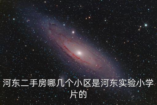 河东二手房哪几个小区是河东实验小学片的
