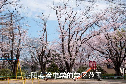 阜阳实验中学的学区范围