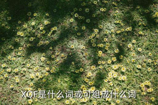 调侃学区房的句子有哪些，XQF是什么词或可组成什么词