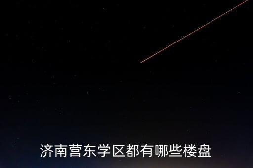 济南营东学区都有哪些楼盘