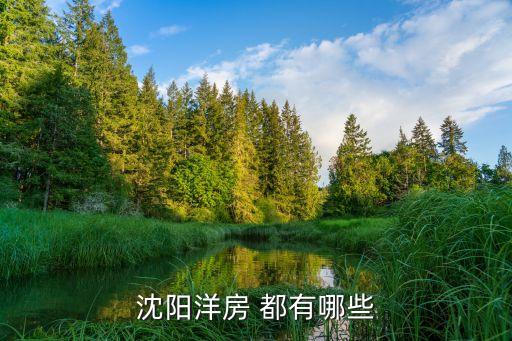 沈阳洋房 都有哪些