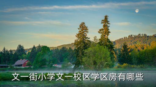 文一街小学文一校区学区房有哪些