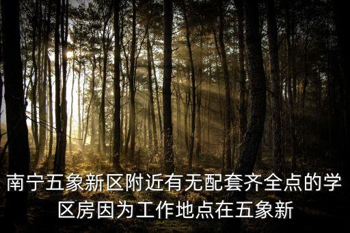 南宁五象新区附近有无配套齐全点的学区房因为工作地点在五象新