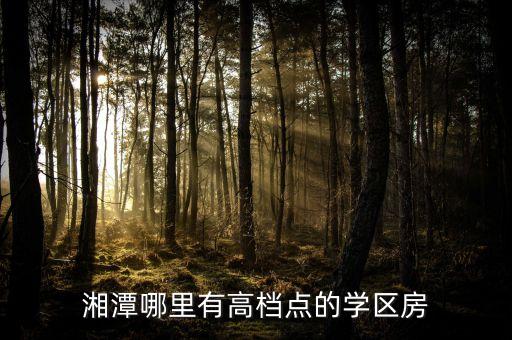 湘潭哪里有高档点的学区房