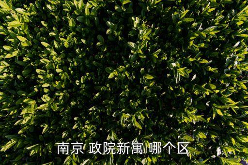南京 政院新寓 哪个区