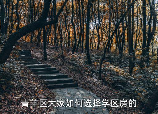 青羊区大家如何选择学区房的