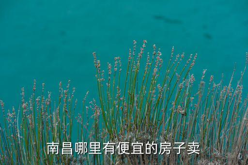 南昌哪里有便宜的房子卖