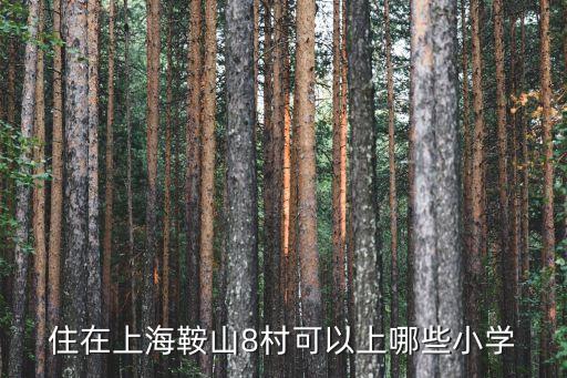 住在上海鞍山8村可以上哪些小学