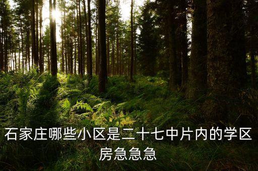 石家庄哪些小区是二十七中片内的学区房急急急