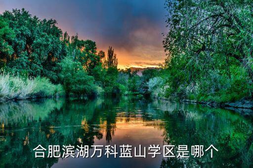万科杭州学区房有哪些，万科公园大道和滨江金色黎明选择哪个
