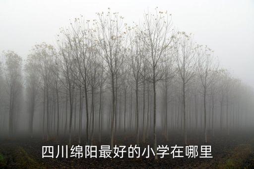 四川绵阳最好的小学在哪里