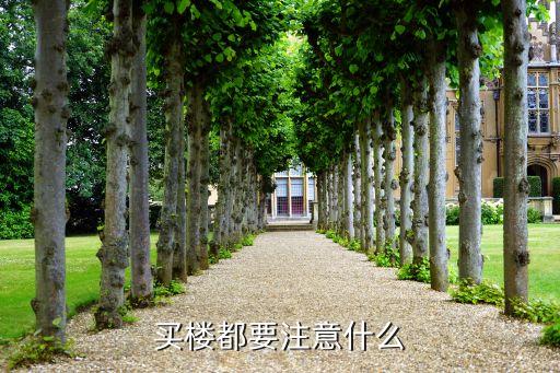买楼都要注意什么