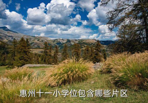 惠州十一小学位包含哪些片区