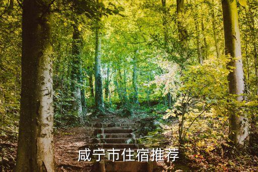 咸宁市住宿推荐