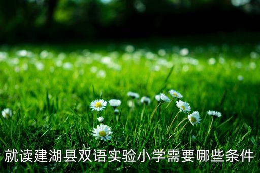 建湖实小学区房有哪些，住在哪里可以上建湖实验双语学校