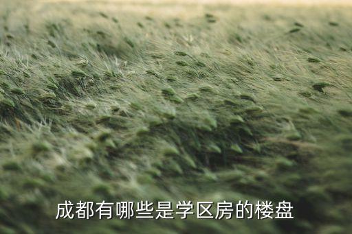 成都有哪些是学区房的楼盘
