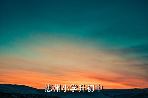 惠州小学升初中