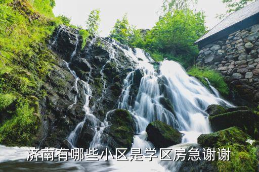 济南有哪些小区是学区房急谢谢