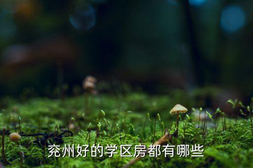 兖州好的学区房都有哪些