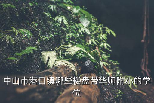 中山市港口镇哪些楼盘带华师附小的学位
