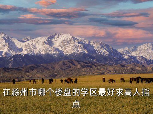 在滁州市哪个楼盘的学区最好求高人指点