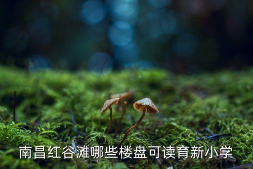 南昌红谷滩哪些楼盘可读育新小学