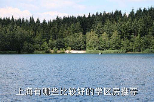 上海学区房买哪些小区最好，非上海户籍择校哪些区域学区房比较好