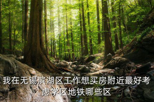 我在无锡滨湖区工作想买房附近最好考虑学区地铁哪些区