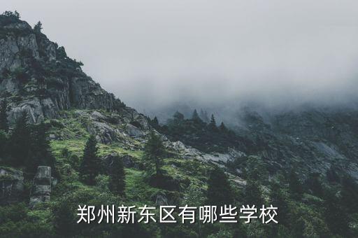 郑州新东区有哪些学校
