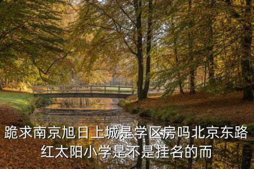 跪求南京旭日上城是学区房吗北京东路红太阳小学是不是挂名的而