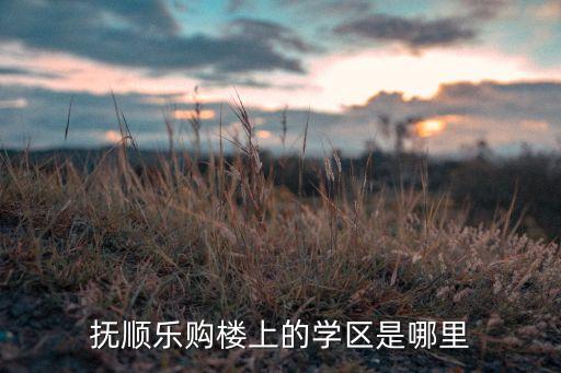 抚顺乐购楼上的学区是哪里